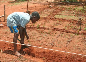 07 Gartenprojekt Foto SwantjeKoehler