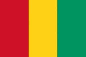 guinea flag png xl.png