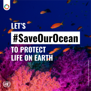 SaveOurOcean - 2025 UN Ocean Conference