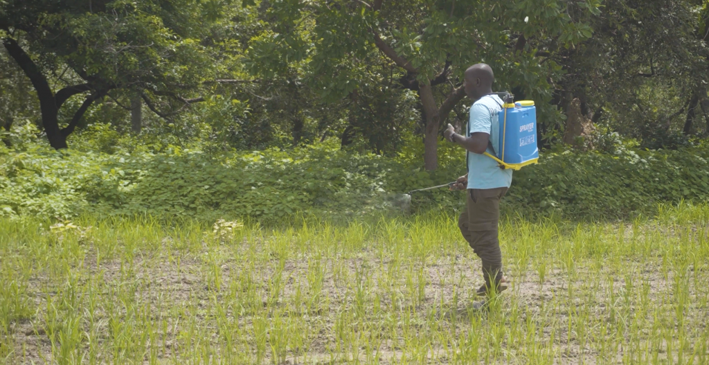 Verbesserung nachhaltiger Anbaumethoden