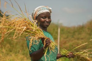 Femme satisfaite de sa production de riz avec ette conjonture mondiale